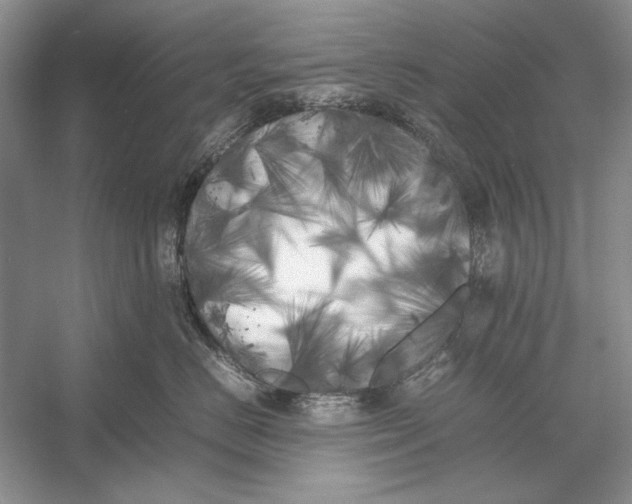 X0000052970670200508051016