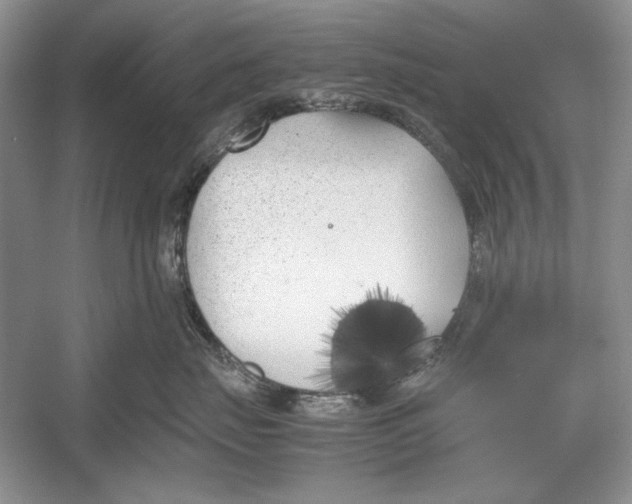 X0000052970671200508051016