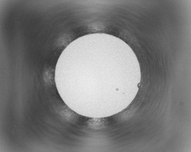 X0000052970672200508051016