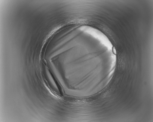 X0000052970674200508051015