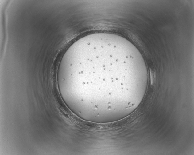 X0000052970675200508051015