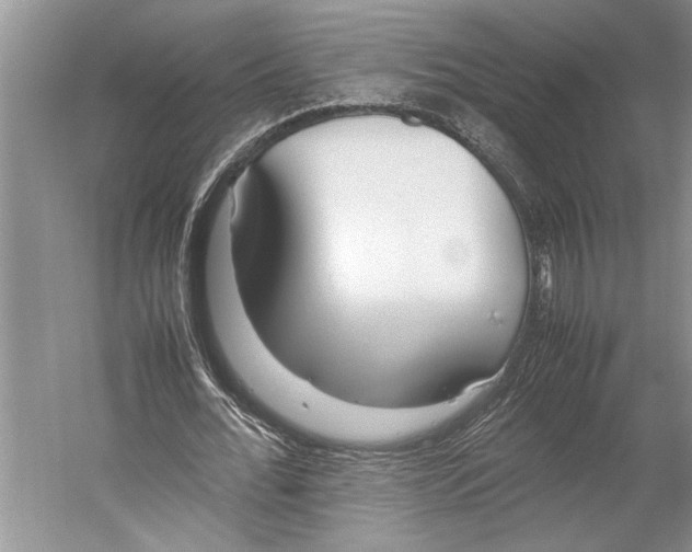 X0000052970676200508051015