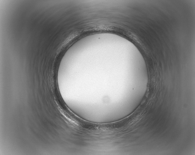 X0000052970677200508051015