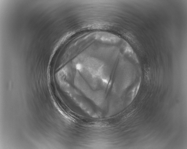 X0000052970678200508051015