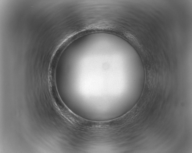 X0000052970680200508051015