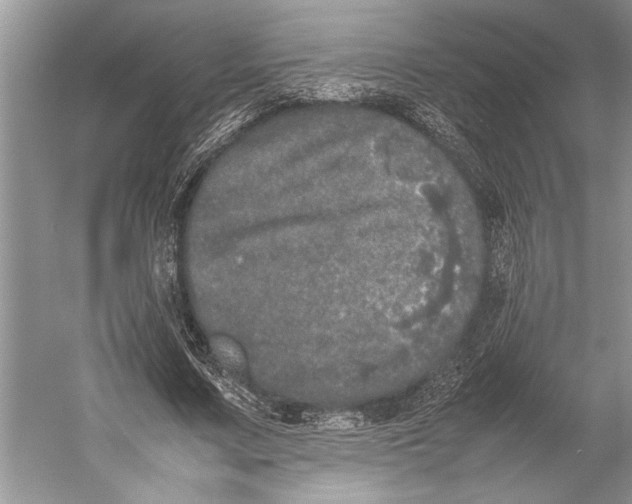 X0000052970683200508051015