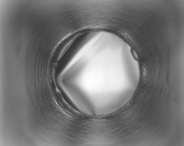 X0000052970684200508051015