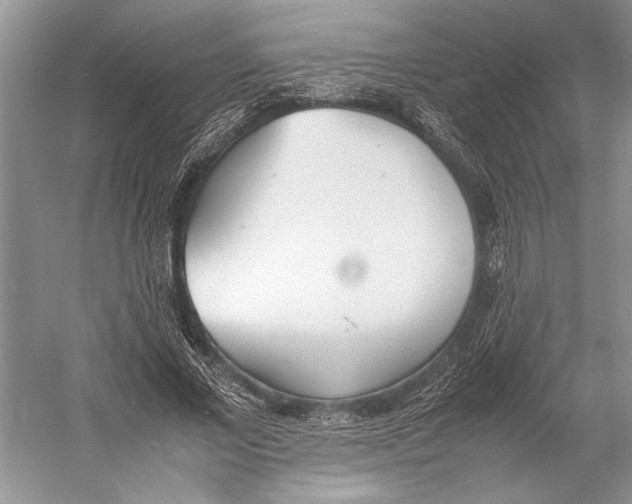 X0000052970685200508051015