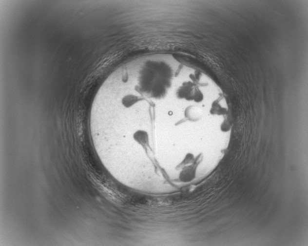 X0000052970687200508051015