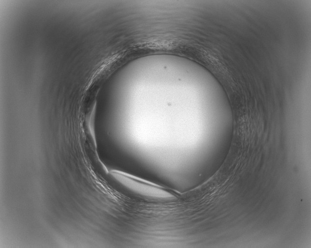 X0000052970688200508051015