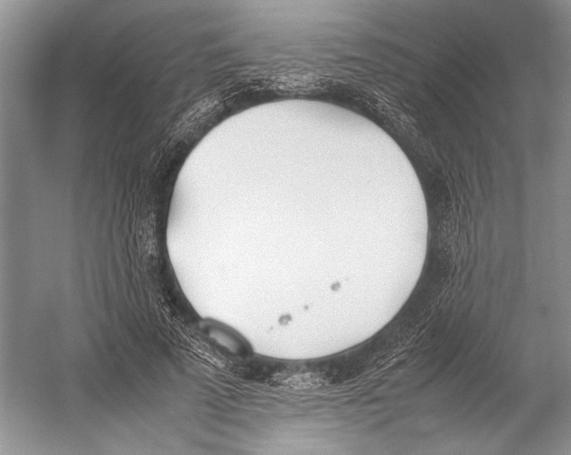 X0000052970689200508051015