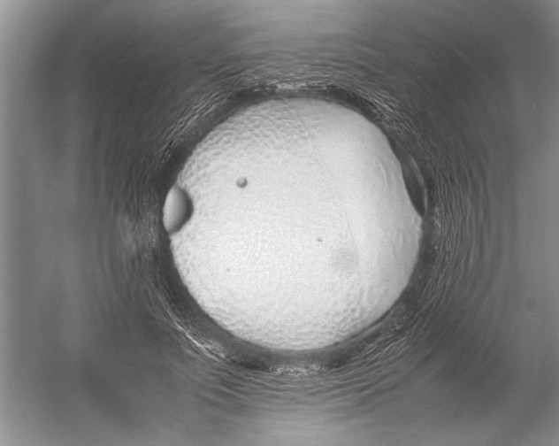 X0000052970691200508051015