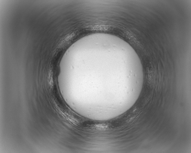 X0000052970692200508051015