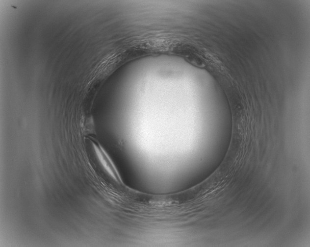 X0000052970693200508051015