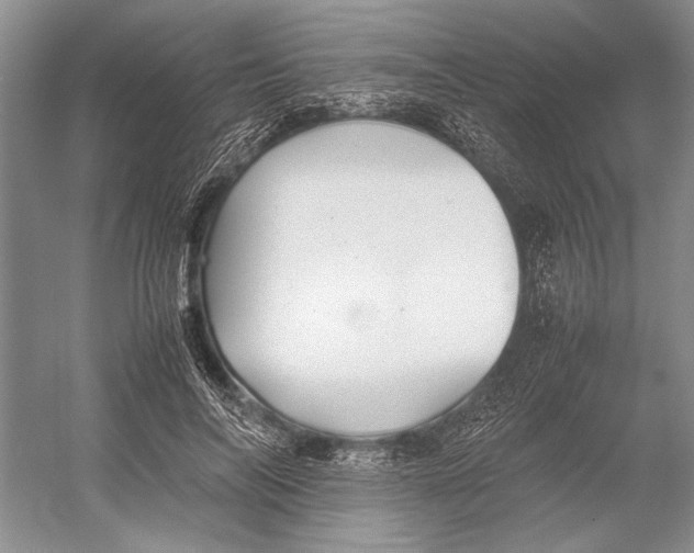 X0000052970694200508051015