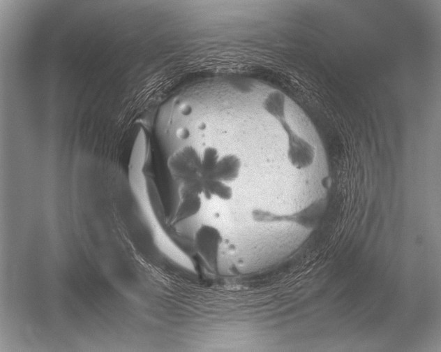 X0000052970695200508051015