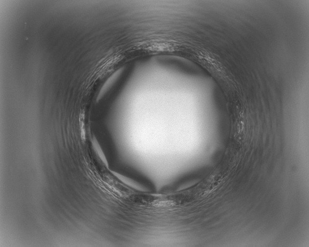 X0000052970696200508051015