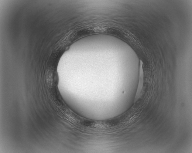 X0000052970697200508051015