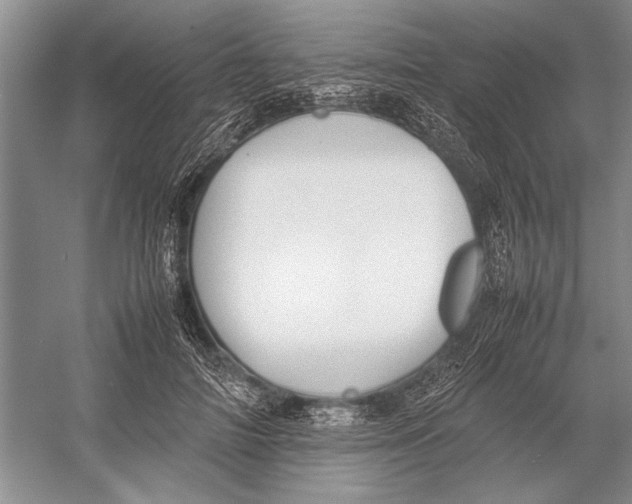 X0000052970698200508051015