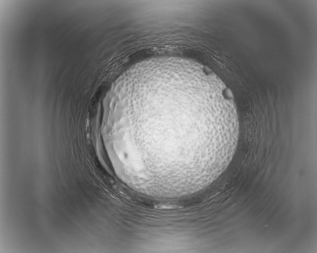 X0000052970699200508051015