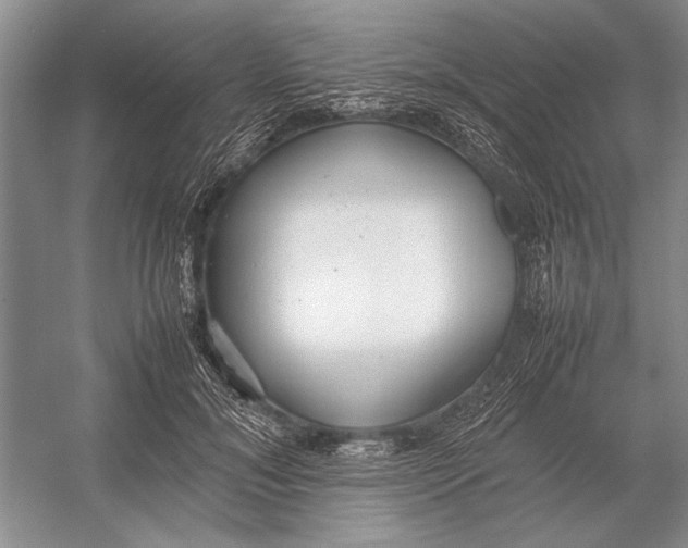 X0000052970700200508051015