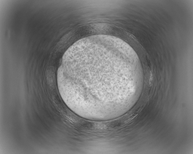 X0000052970701200508051015