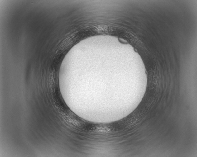 X0000052970702200508051015