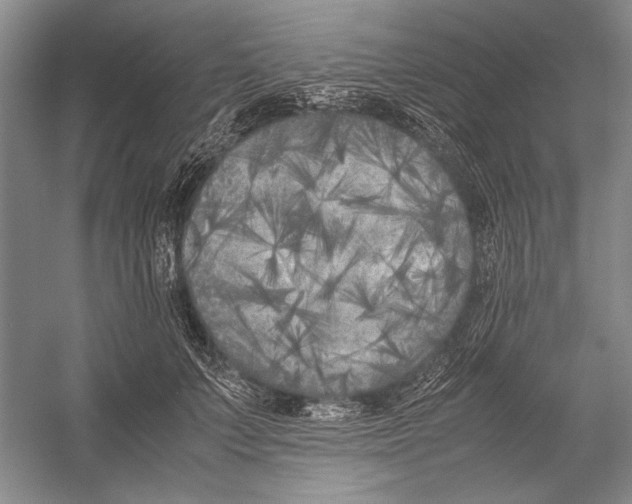 X0000052970703200508051015