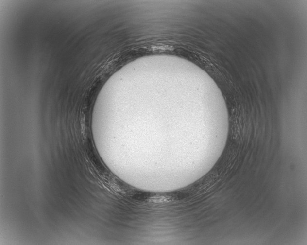 X0000052970704200508051015