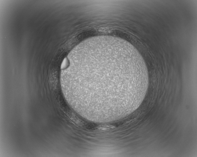 X0000052970707200508051015