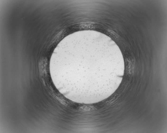 X0000052970712200508051015