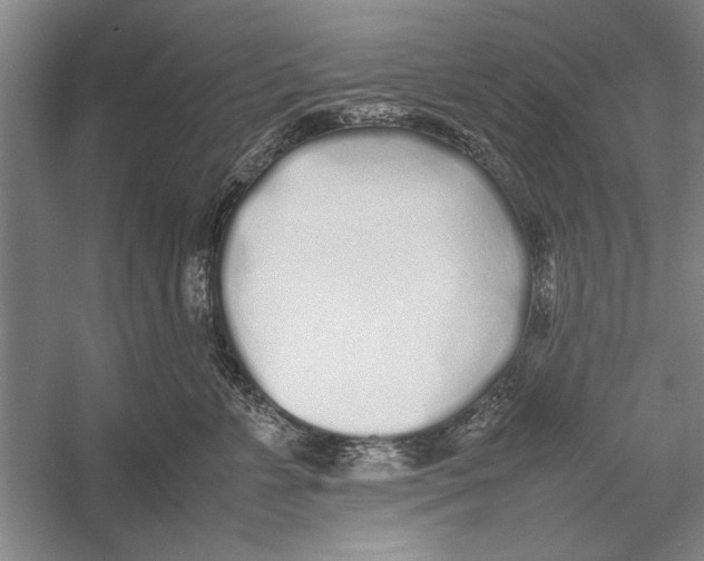 X0000052970715200508051014