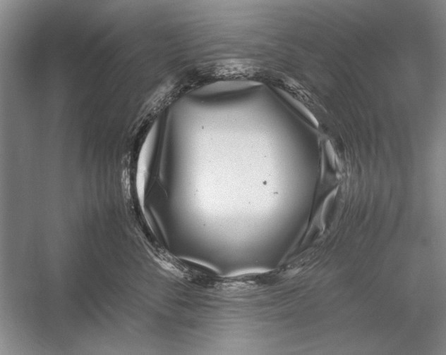 X0000052970716200508051014