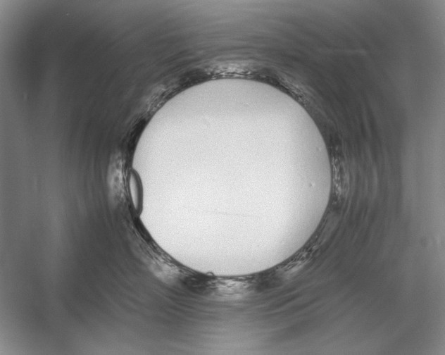 X0000052970718200508051014