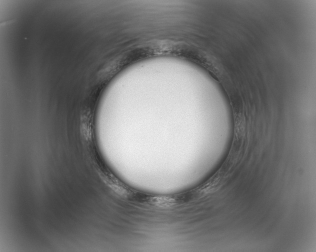 X0000052970719200508051014