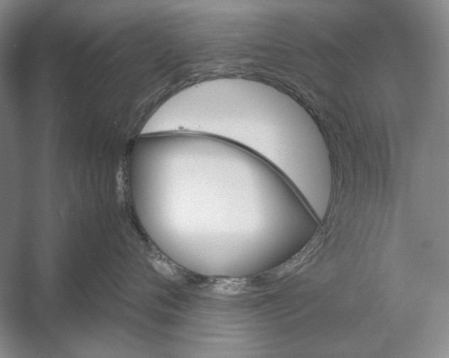 X0000052970720200508051014