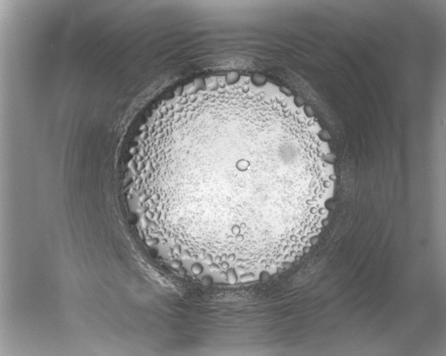 X0000052970721200508051014