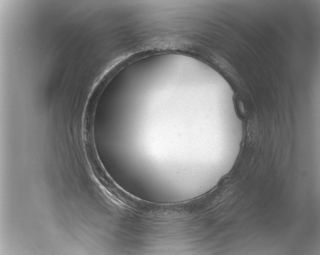 X0000052970722200508051014