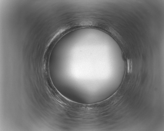 X0000052970723200508051014