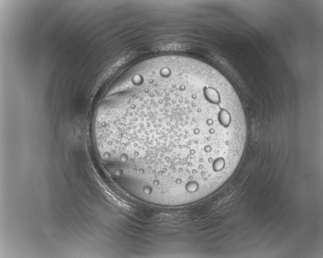 X0000052970725200508051014