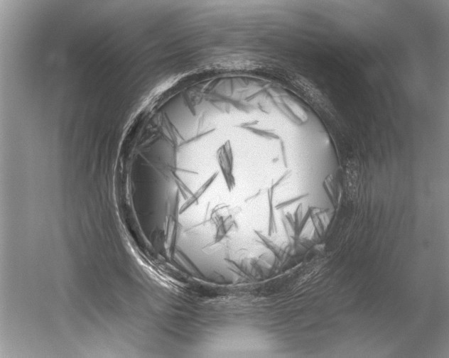 X0000052970726200508051014