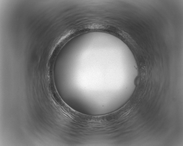 X0000052970727200508051014