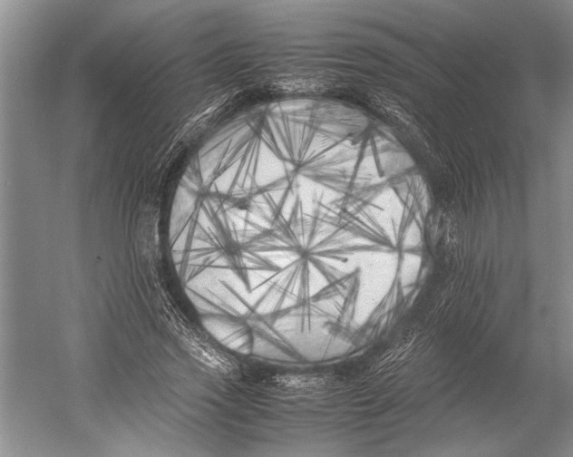 X0000052970733200508051014