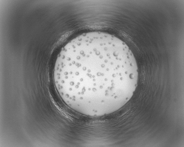 X0000052970734200508051014