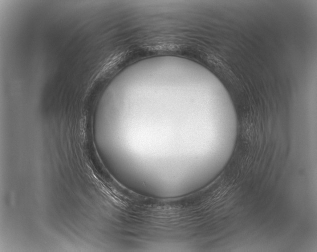 X0000052970735200508051014