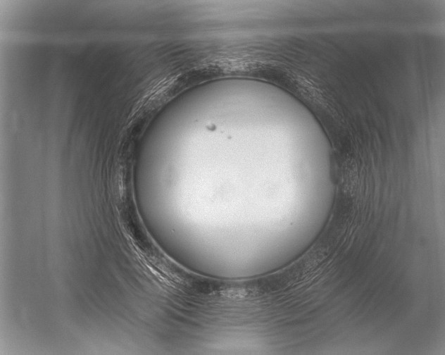 X0000052970740200508051014