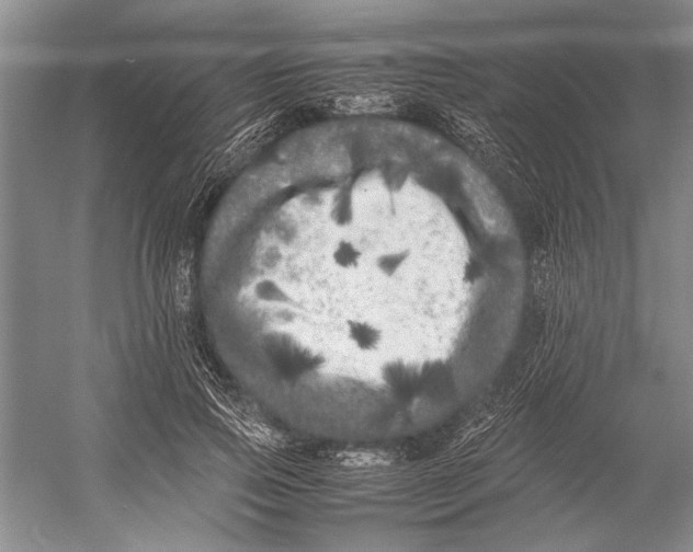 X0000052970741200508051014