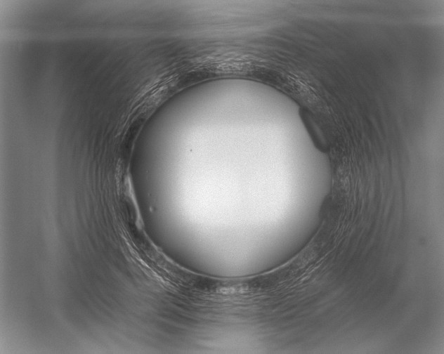 X0000052970744200508051014