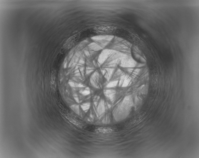 X0000052970749200508051014