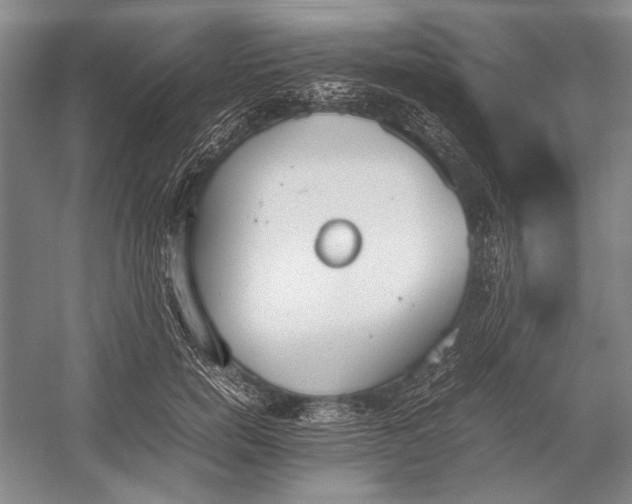 X0000052970750200508051014